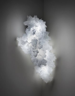 Joy of Transition Joy of Transition